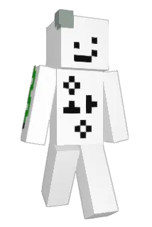 enfrlBE Minecraft avatar full body