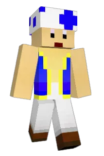 engine229 Minecraft avatar full body