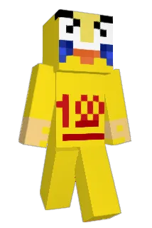 enquiries Minecraft avatar full body