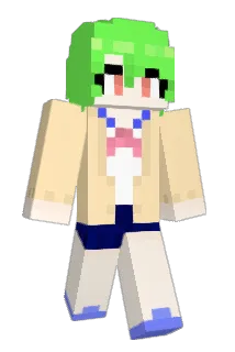 enso2215 Minecraft avatar full body