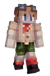 enterwoke Minecraft avatar full body