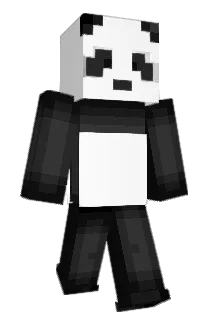 entropy225 Minecraft avatar full body
