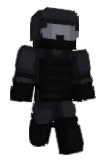 entryteam Minecraft avatar full body