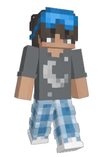 eoDevede Minecraft avatar full body