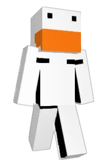 eoinnnnnn Minecraft avatar full body