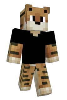eooQ Minecraft avatar full body