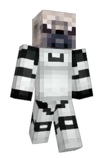 epicnish21 Minecraft avatar full body