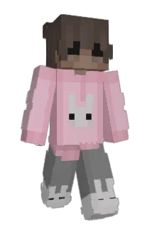 equinn862 Minecraft avatar full body