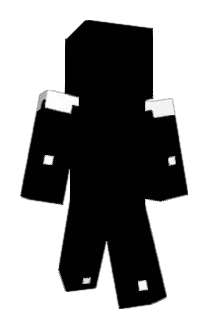 erRayyyy Minecraft avatar full body