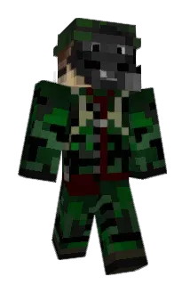 erikbb21 Minecraft avatar full body