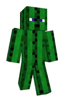 erpelo Minecraft avatar full body
