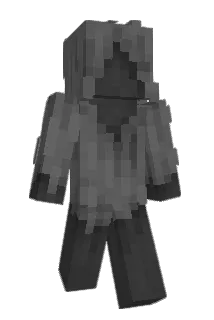error_fbdn Minecraft avatar full body