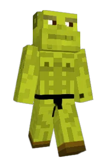 ert4ergfgf Minecraft avatar full body
