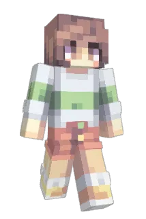 ervomate Minecraft avatar full body