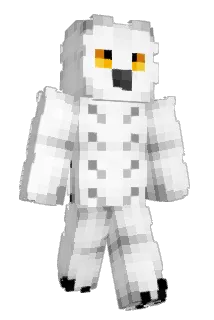 erwa23 Minecraft avatar full body