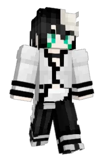 erwan360 Minecraft avatar full body