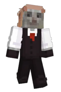 Minecraft-Avatar von esfarelado: ganzer Körper