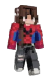 esit248 Minecraft avatar full body