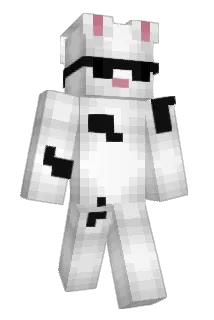 esn2007 Minecraft avatar full body