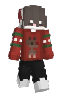 estoquode_s Minecraft avatar full body