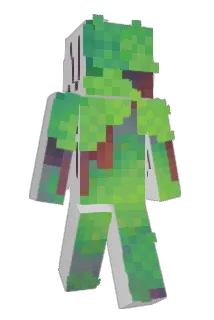 et1000000 Minecraft avatar full body