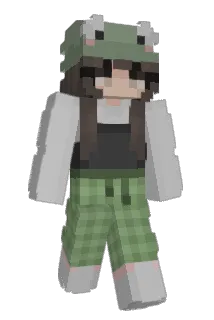 etanol1 Minecraft avatar full body