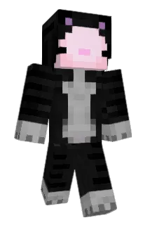 etv_ Minecraft avatar full body