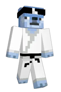 euipment Minecraft avatar full body