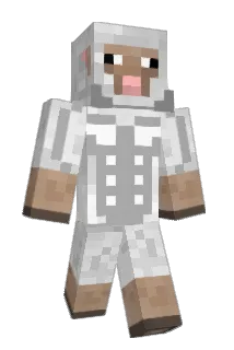 evanbun22 Minecraft avatar full body