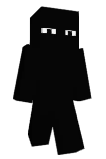everett_is_cool Minecraft avatar full body