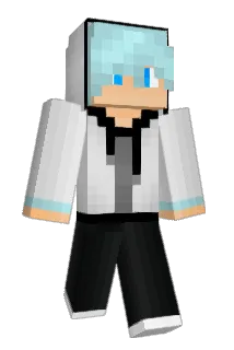 everfile Minecraft avatar full body