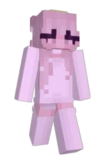 eversonder Minecraft avatar full body