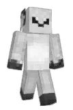 everywant Minecraft avatar full body
