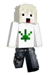 evilwock Minecraft avatar full body