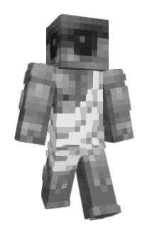 evnss Minecraft avatar full body