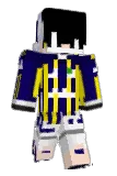 evolays Minecraft avatar full body