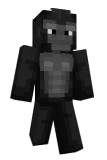 evonn31 Minecraft avatar full body