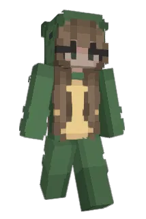 evrwarrior Minecraft avatar full body