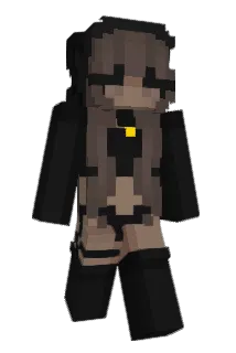 evvw Minecraft avatar full body