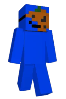 Minecraft-Avatar von exobest_: ganzer Körper