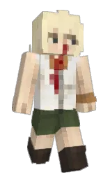 Custom render preview