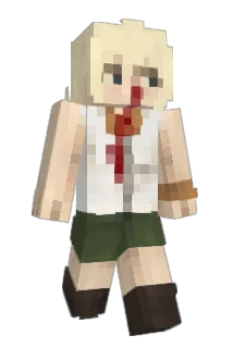 expb Minecraft avatar full body