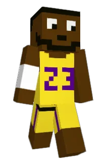expertlayup Minecraft avatar full body