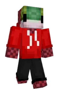 Front of Cogger's skin