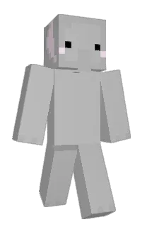 Front of austraw's skin