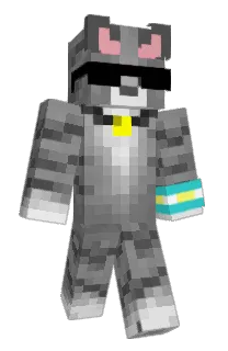 Front of FirstExistance's skin