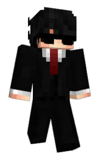 Front of privacyy's skin