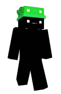 poiz's Minecraft skin