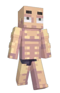 Front of Minecraft skin