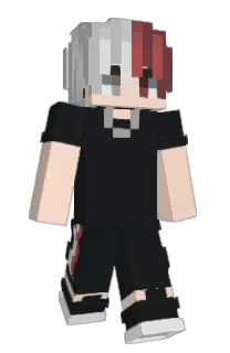 Front of Lkj1's skin